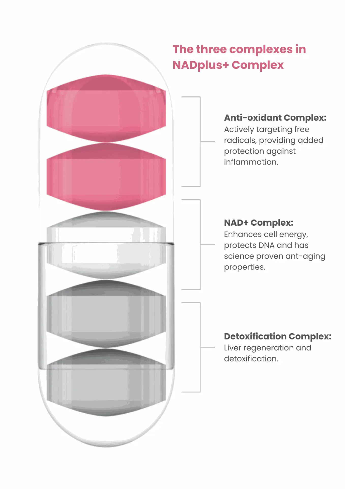 NADplus+ 3 complex breakdown